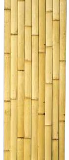 晒建仁寺竹 一等品