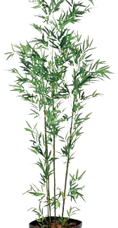 人工竹　　バンブーツリー