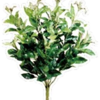 人工葉材　ローレルブッシュ（シキミ）