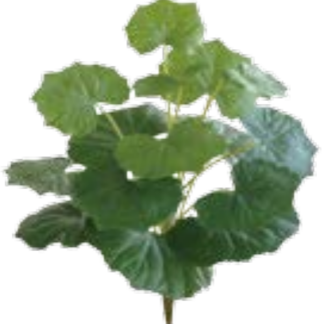 人工葉材 ツワブキ