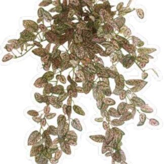 人工葉材 ハイポステスPG